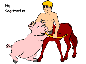Pig/Sagittarius